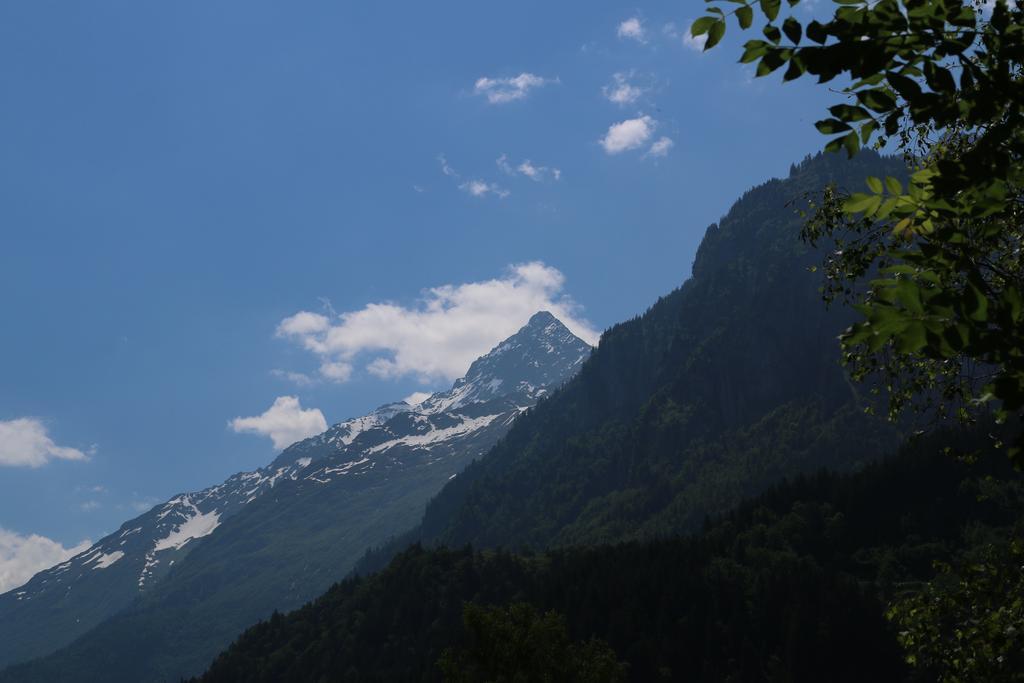 Mountain Lodge Urweider Innertkirchen Room photo